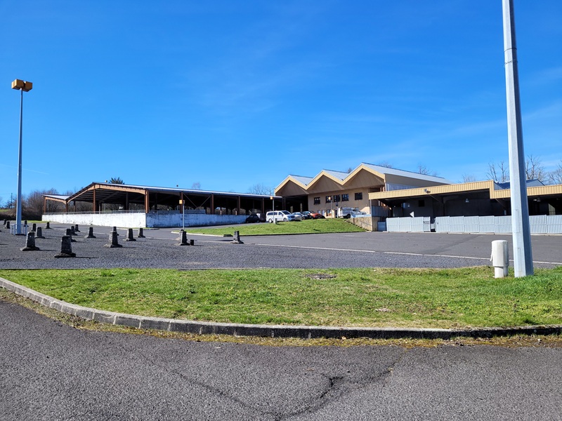 Marché aux Bestiaux - Mauriac (15)
